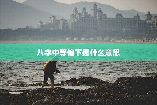 八字中等偏下是什么意思