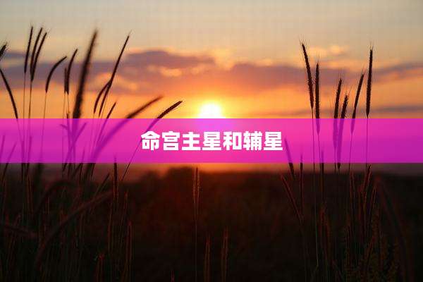 命宫主星和辅星