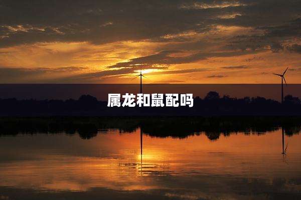 属龙和鼠配吗
