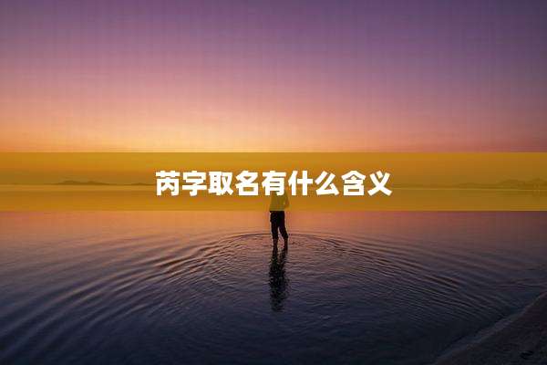 芮字取名有什么含义