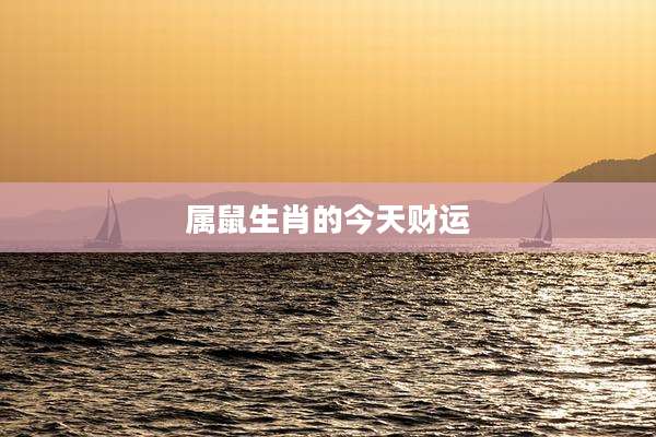 属鼠生肖的今天财运