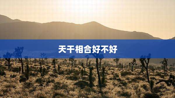 天干相合好不好