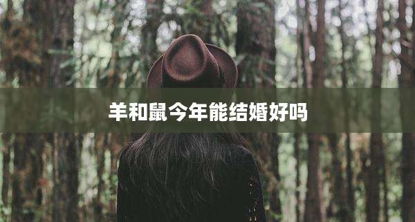羊和鼠今年能结婚好吗