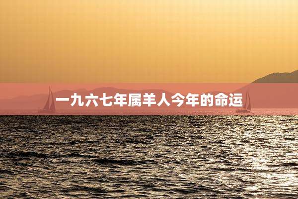 一九六七年属羊人今年的命运