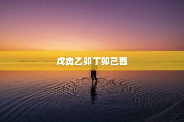戊寅乙卯丁卯己酉