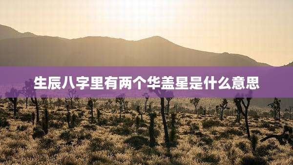生辰八字里有两个华盖星是什么意思