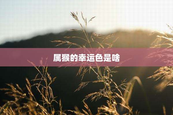 属猴的幸运色是啥