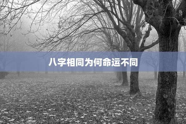 八字相同为何命运不同