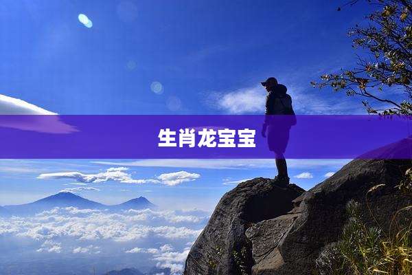 生肖龙宝宝