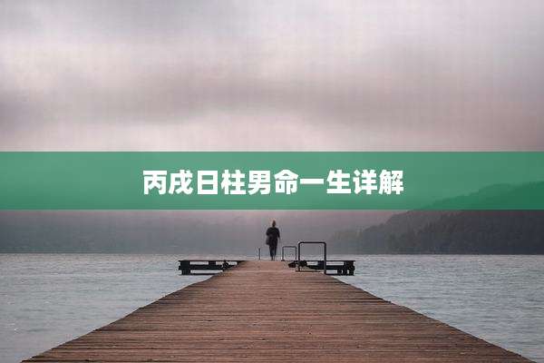 丙戌日柱男命一生详解