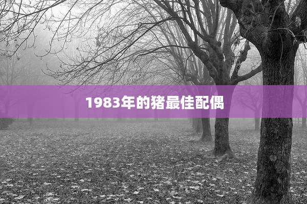 1983年的猪最佳配偶