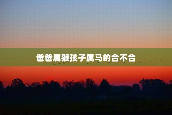 爸爸属猴孩子属马的合不合
