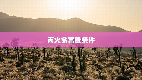 丙火命富贵条件