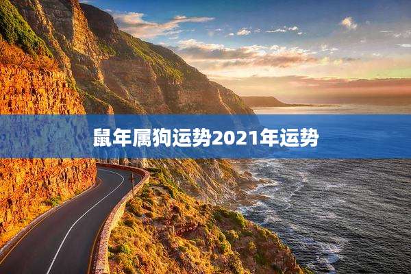鼠年属狗运势2021年运势