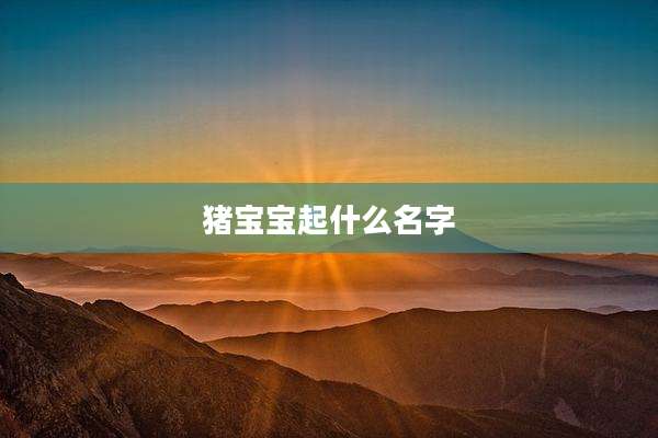 猪宝宝起什么名字