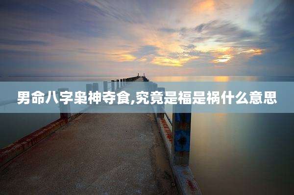 男命八字枭神夺食,究竟是福是祸什么意思