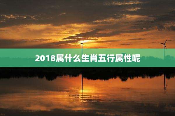 2018属什么生肖五行属性呢