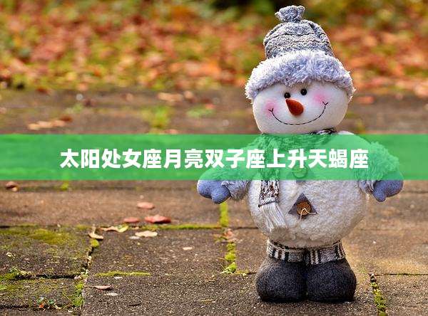 太阳处女座月亮双子座上升天蝎座