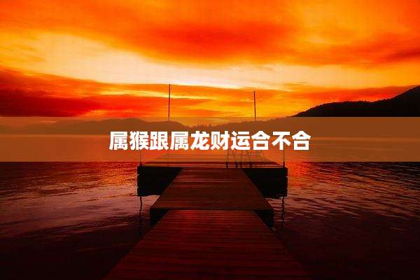 属猴跟属龙财运合不合