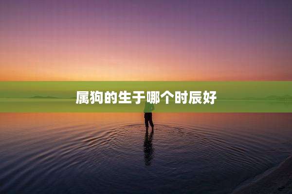 属狗的生于哪个时辰好