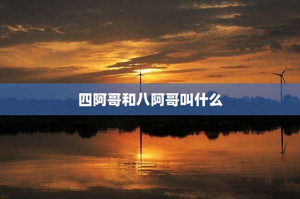 四阿哥和八阿哥叫什么