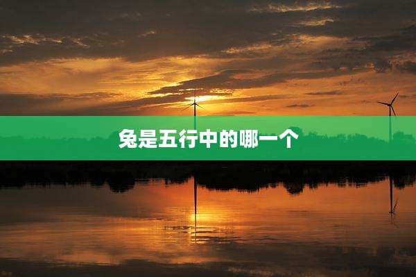 兔是五行中的哪一个