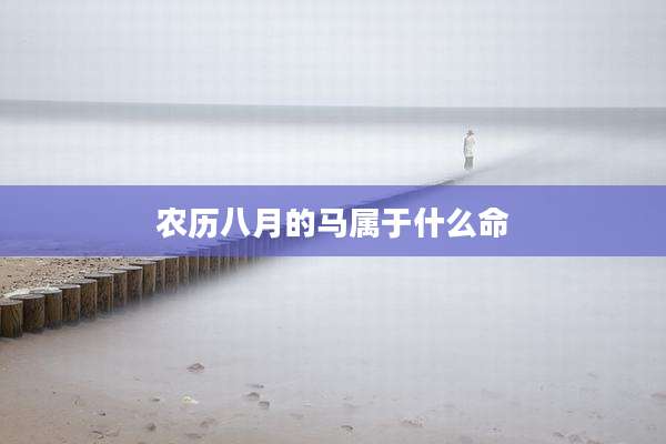 农历八月的马属于什么命