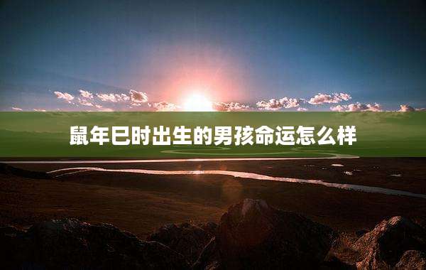 鼠年巳时出生的男孩命运怎么样