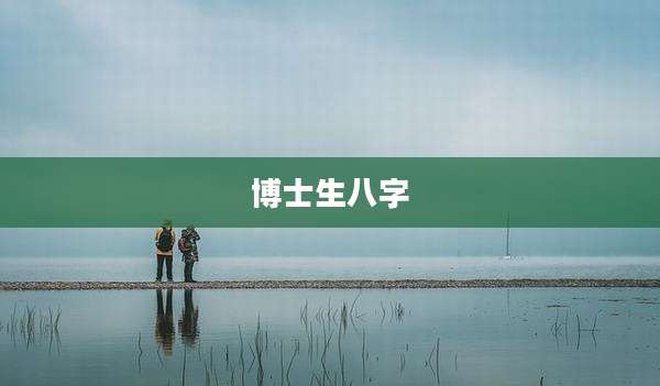 博士生八字