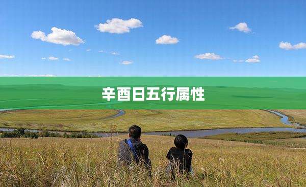 辛酉日五行属性
