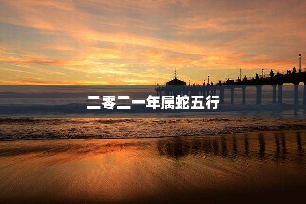 二零二一年属蛇五行