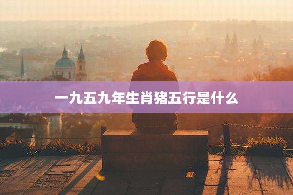 一九五九年生肖猪五行是什么