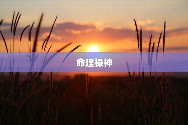 命理禄神