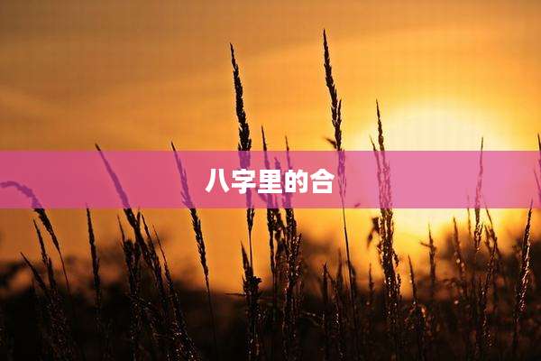 八字里的合