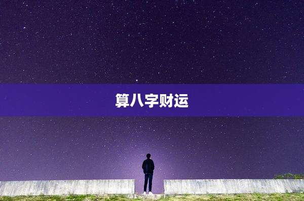 算八字财运