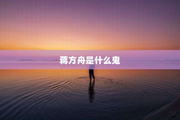 蒋方舟是什么鬼