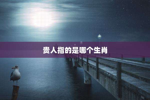 贵人指的是哪个生肖