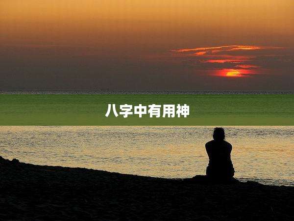 八字中有用神