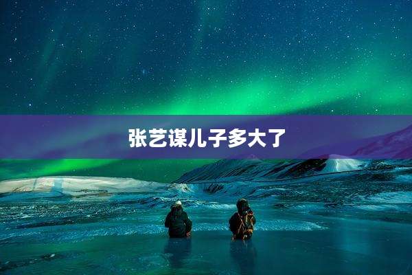 张艺谋儿子多大了