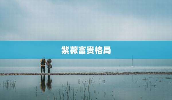 紫薇富贵格局