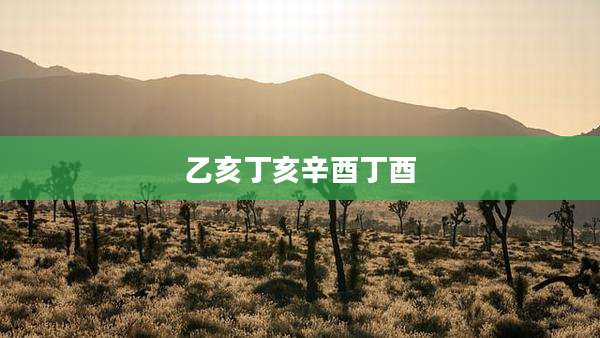 乙亥丁亥辛酉丁酉