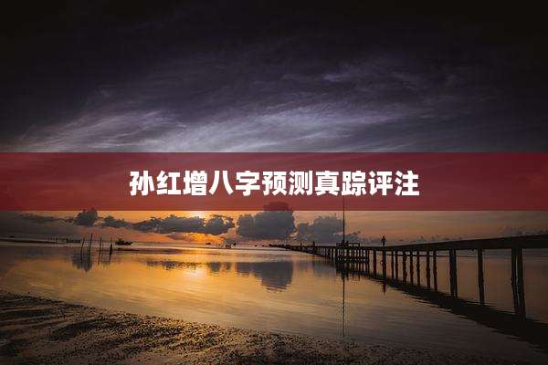 孙红增八字预测真踪评注