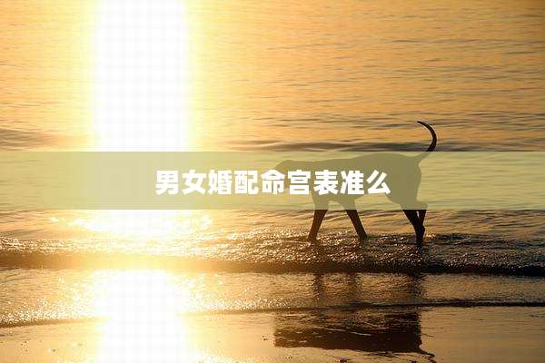 男女婚配命宫表准么