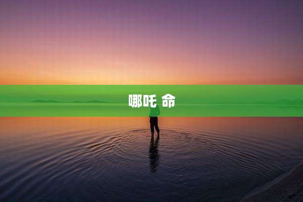 哪吒 命