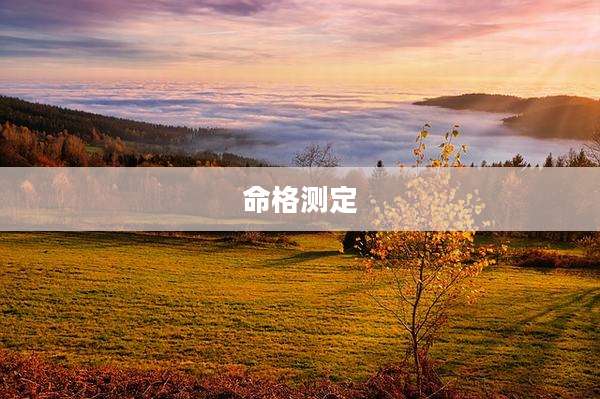 命格测定