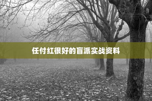 任付红很好的盲派实战资料