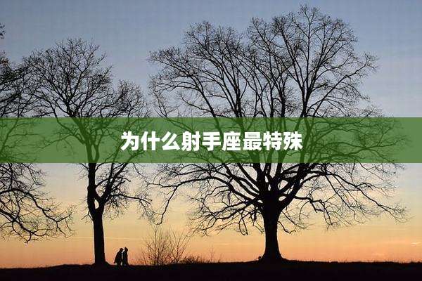 为什么射手座最特殊