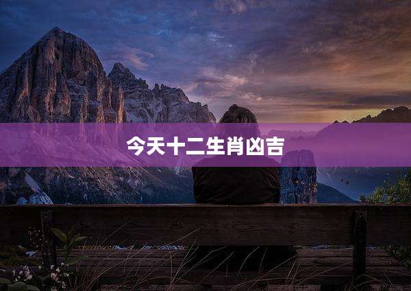 今天十二生肖凶吉