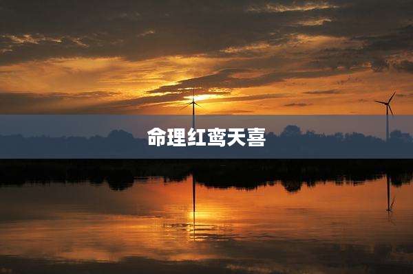 命理红鸾天喜