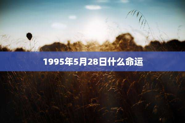 1995年5月28日什么命运
